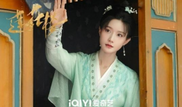 莲花电视剧,穿越时空的传奇爱情