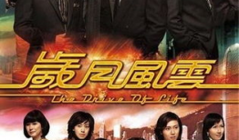 岁月风云电视剧,风云变幻，情仇恩怨