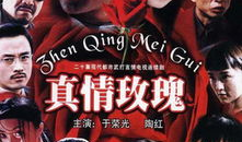 真情玫瑰 电视剧,爱恨交织的情感纠葛